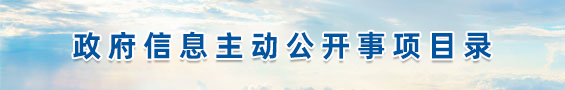 政府信息主动公开事项目录
