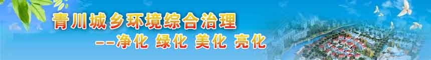 青川城乡环境综合治理